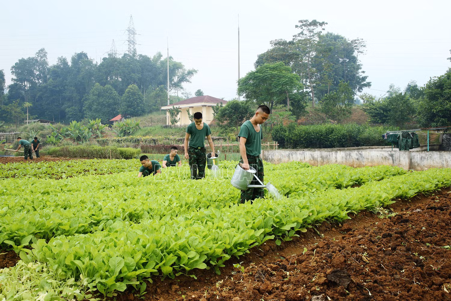 Nâng cao chất lượng công tác quân sự, quốc phòng trong tình hình mới ảnh 3