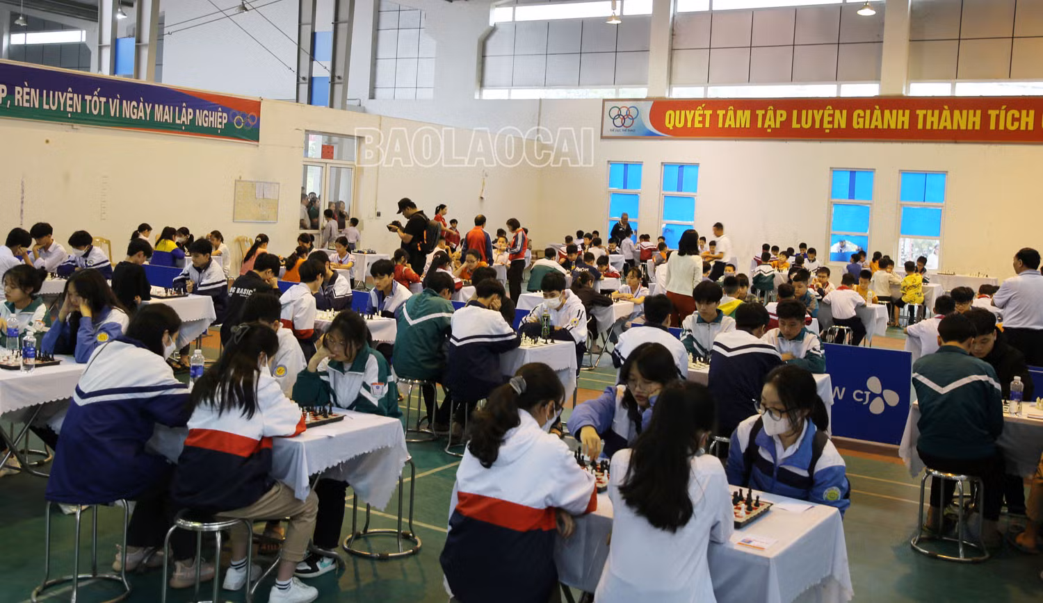 241 vận động viên tham gia giải cờ vua thanh, thiếu niên, nhi đồng tỉnh Lào Cai ảnh 4