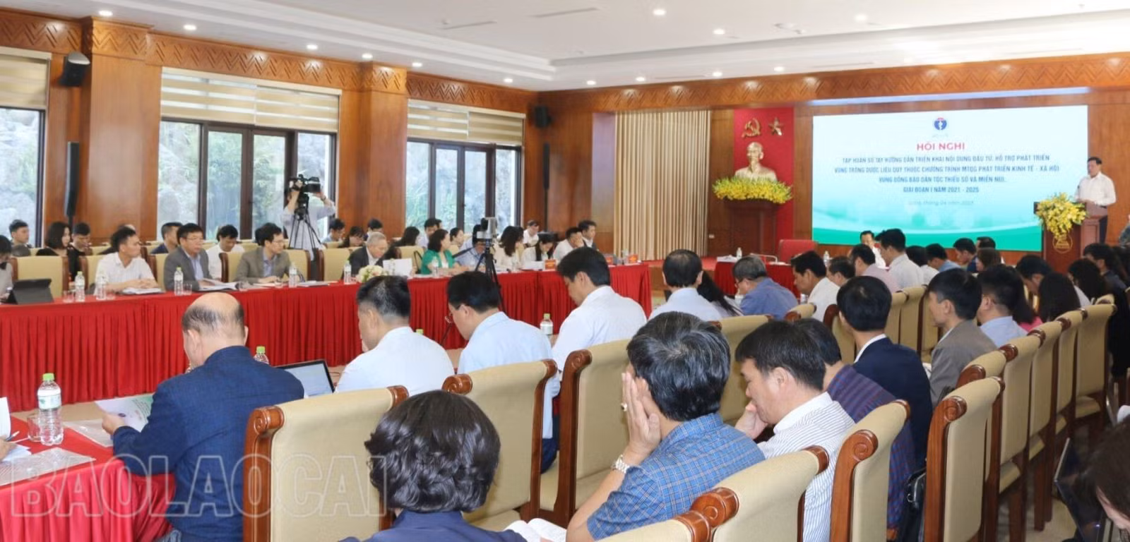 Tập huấn Sổ tay hướng dẫn triển khai nội dung đầu tư hỗ trợ phát triển vùng trồng dược liệu quý ảnh 1