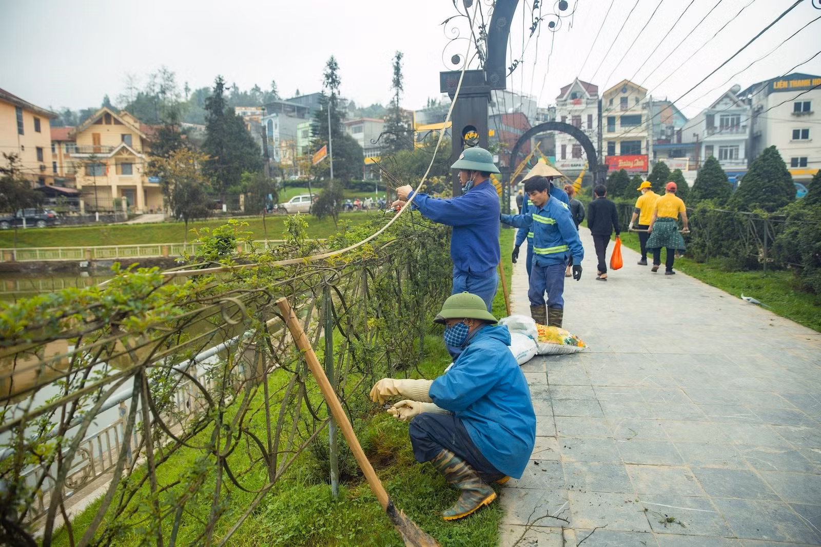 Chương trình thu hút hơn 600 tình nguyện viên tham gia.