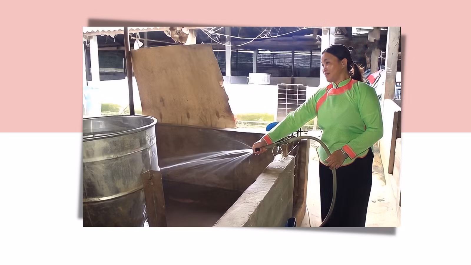 Hai phụ nữ dân tộc thiểu số làm kinh tế giỏi ảnh 3