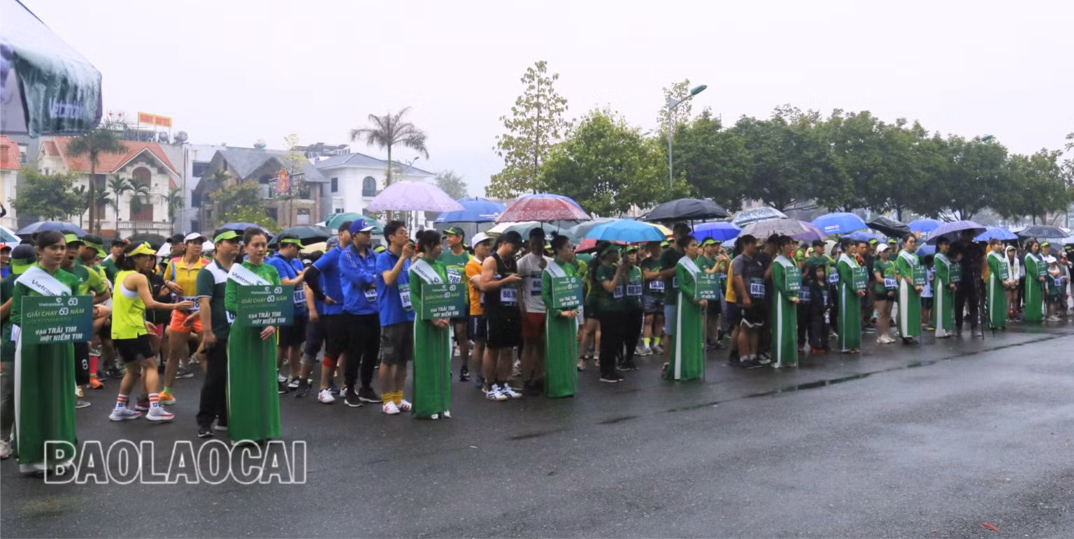 Các vận động viên tham gia giải chạy.