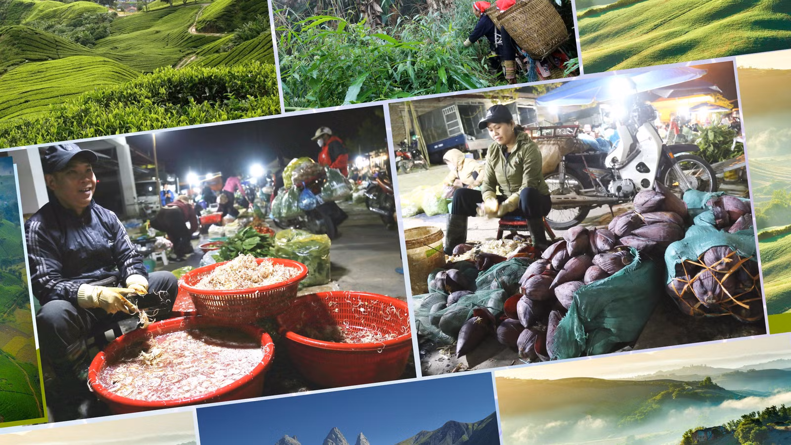Hoa chuối bán tại chợ đêm Châu Úy, thành phố Lào Cai.