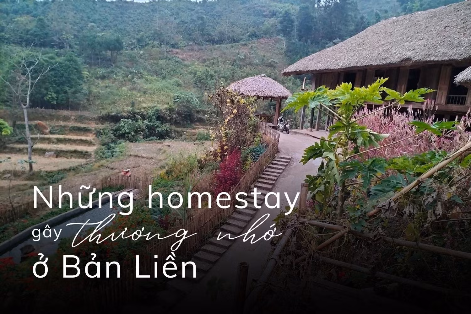 Gửi tình yêu vào những cái tên ảnh 7