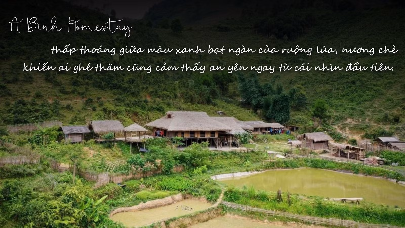 Chàng trai người Tày "thắp lửa" du lịch cộng đồng ảnh 3