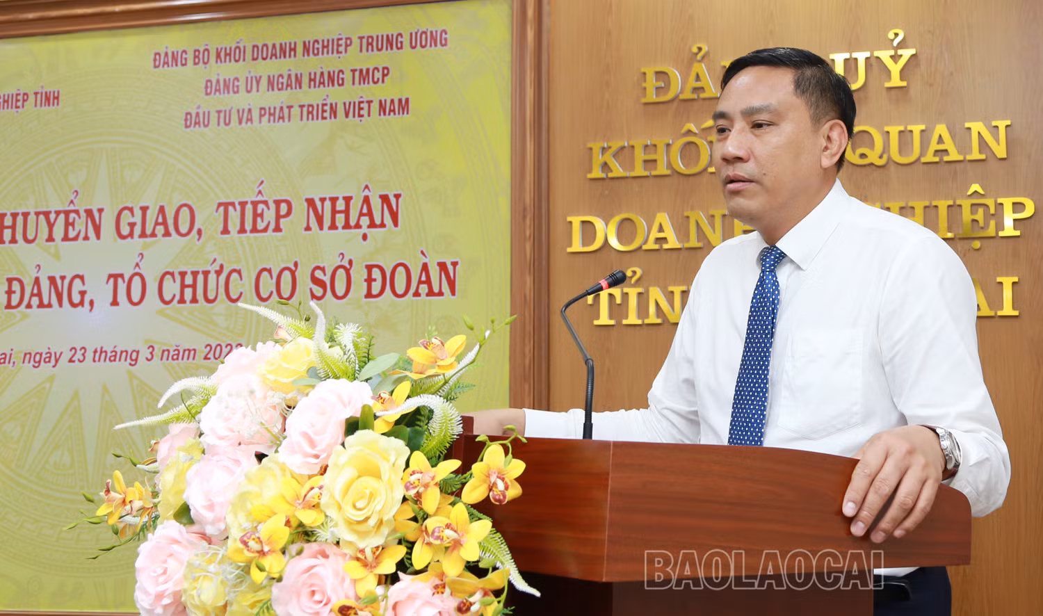 Chuyển giao 2 tổ chức đảng về Đảng bộ Ngân hàng Thương mại cổ phần Đầu tư và Phát triển Việt Nam ảnh 3