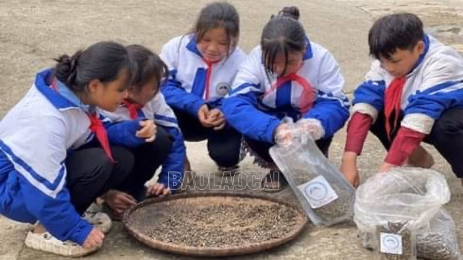 Đoàn học sinh huyện Bắc Hà đoạt giải Ba tại Cuộc thi “Học sinh, sinh viên với ý tưởng khởi nghiệp” toàn quốc lần thứ V ảnh 1