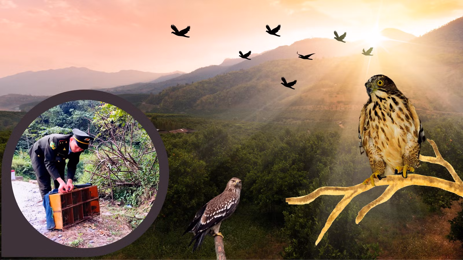 “Ân nhân” của động vật hoang dã ảnh 3