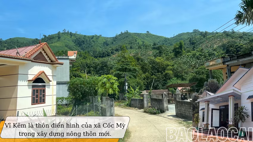 Về miền ấm no ảnh 1