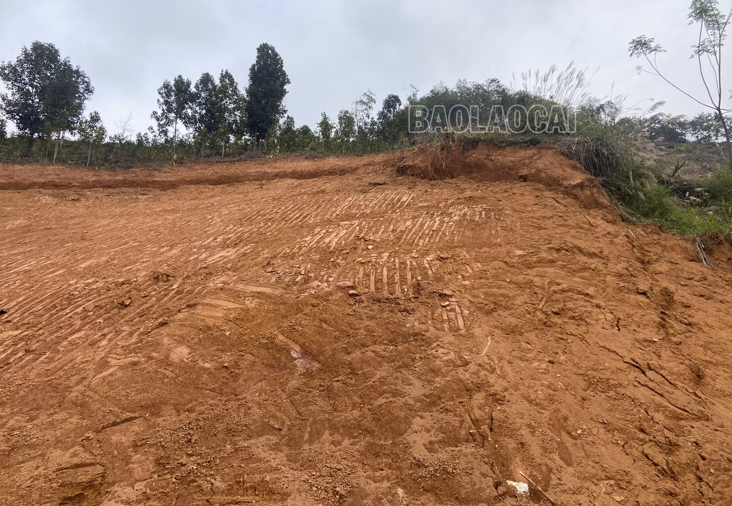 Vệt nứt ta luy nguy hiểm đang ngày một to hơn. Phía chân ta luy bị đẩy lên do đất trượt xuống. Phía sau các căn nhà mới san gạt đất.