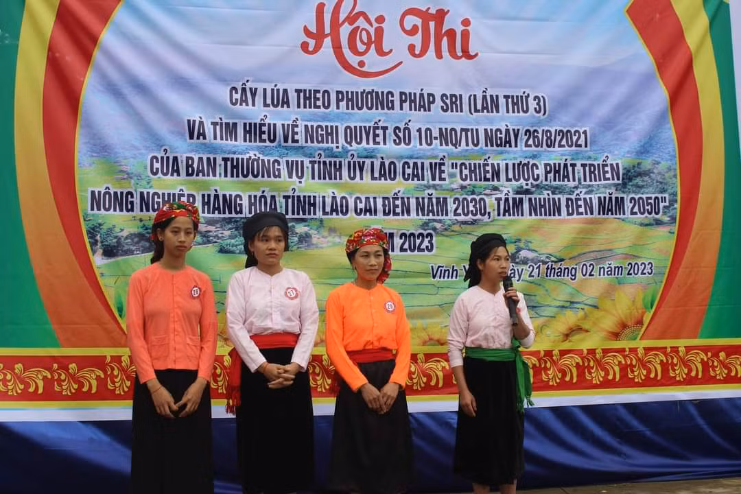Bảo Yên: Tổ chức hội thi cấy lúa theo phương pháp canh tác cải tiến ảnh 3