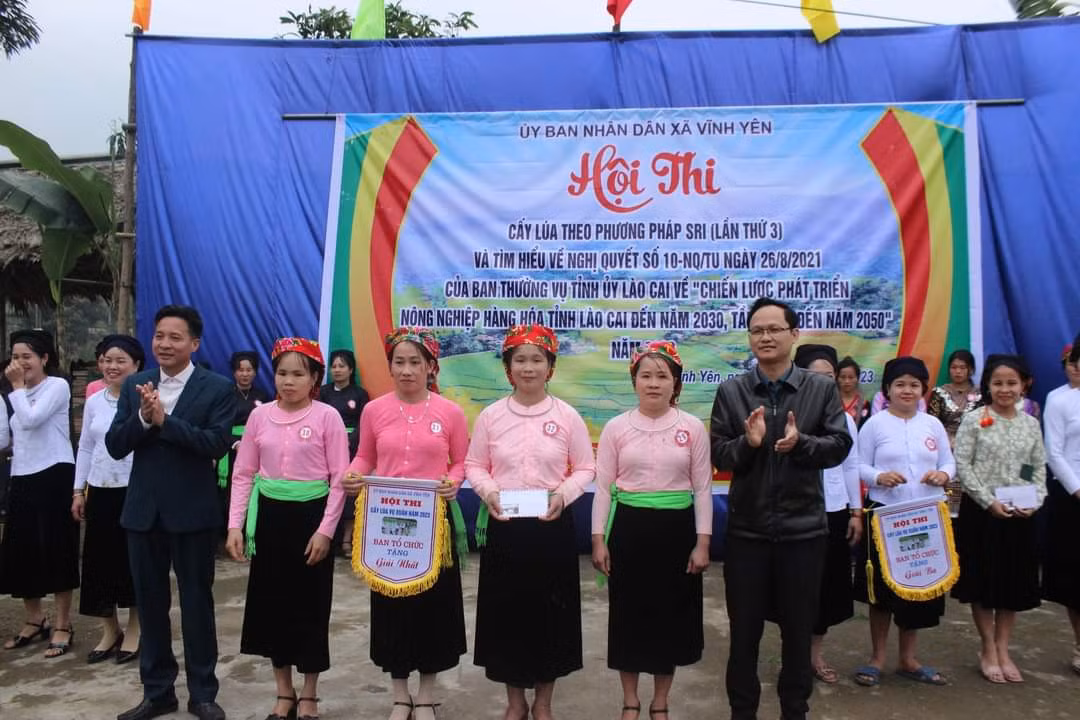 Bảo Yên: Tổ chức hội thi cấy lúa theo phương pháp canh tác cải tiến ảnh 5