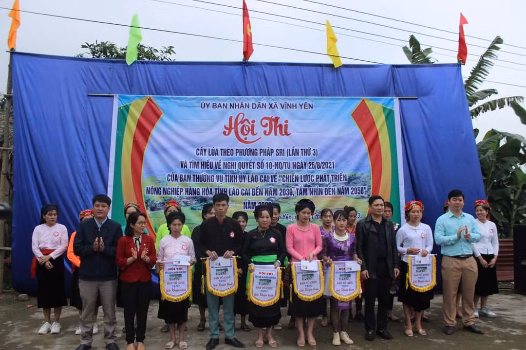 Bảo Yên: Tổ chức hội thi cấy lúa theo phương pháp canh tác cải tiến ảnh 6