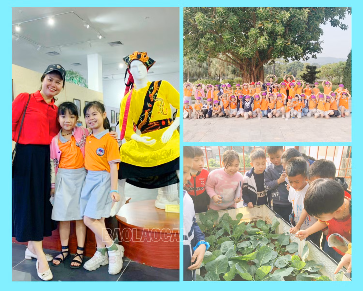 Trong năm học, cô giáo Lê Thị Mùi cùng nhà trường tổ chức cho học sinh tham gia các hoạt động trải nghiệm bổ ích.