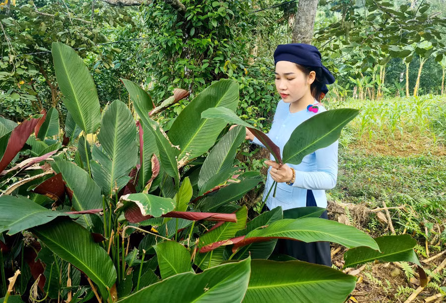 Đồng bào vùng cao rộn ràng chuẩn bị đón Tết ảnh 5