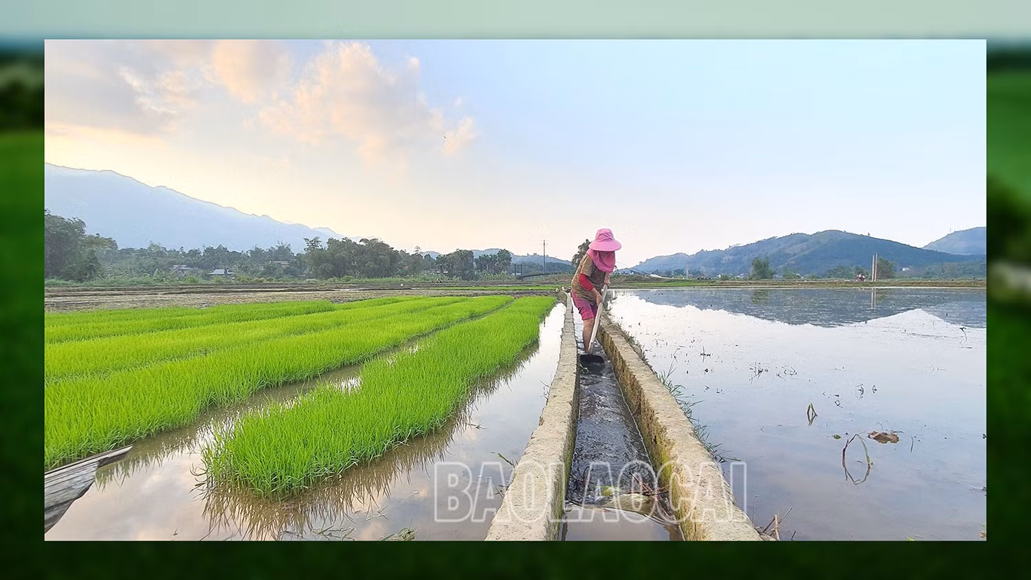 Đảm bảo nước cho sản xuất vụ xuân ảnh 2