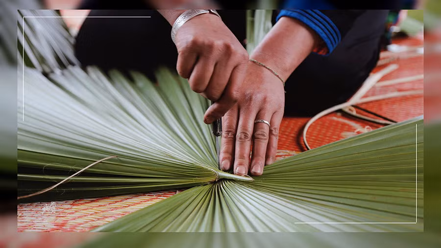 Giữ nghề làm "chúp cọ" ảnh 3