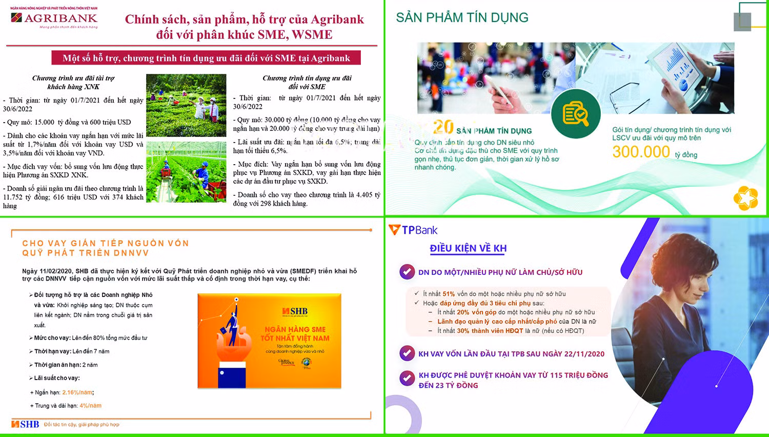 Kết nối ngân hàng và doanh nghiệp nhỏ và vừa do phụ nữ làm chủ ảnh 4