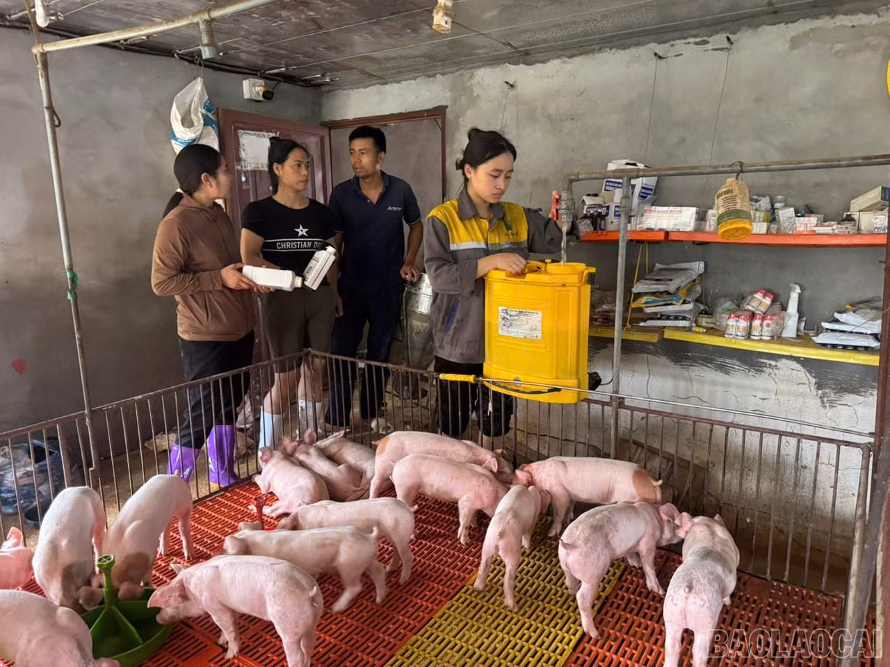 baolaocai-br_ho-tro-ng-dan-khac-phuc-chan-nuoi.jpg