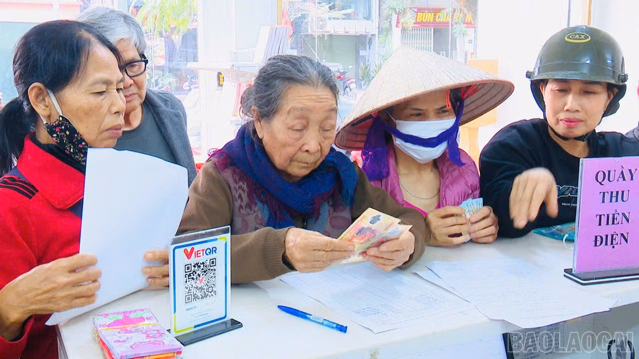 baolaocai-br_z7384218204623-d723594bb811189b49ce39faf09efe6f.jpg