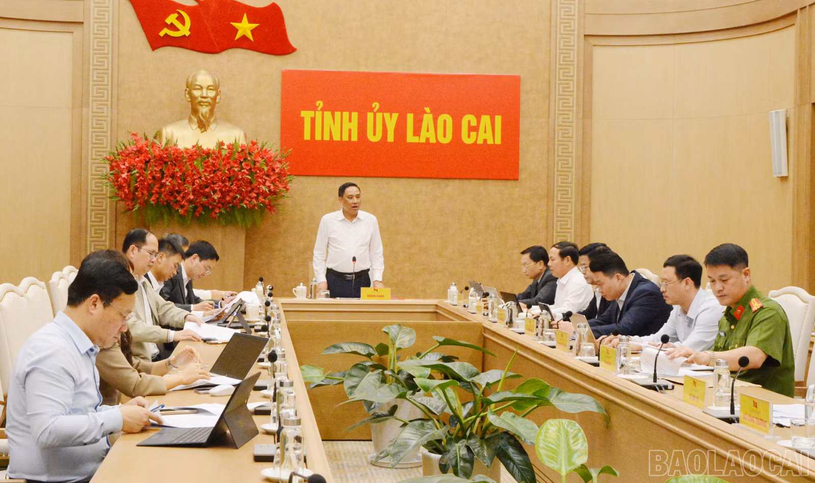 baolaocai-br_1.jpg