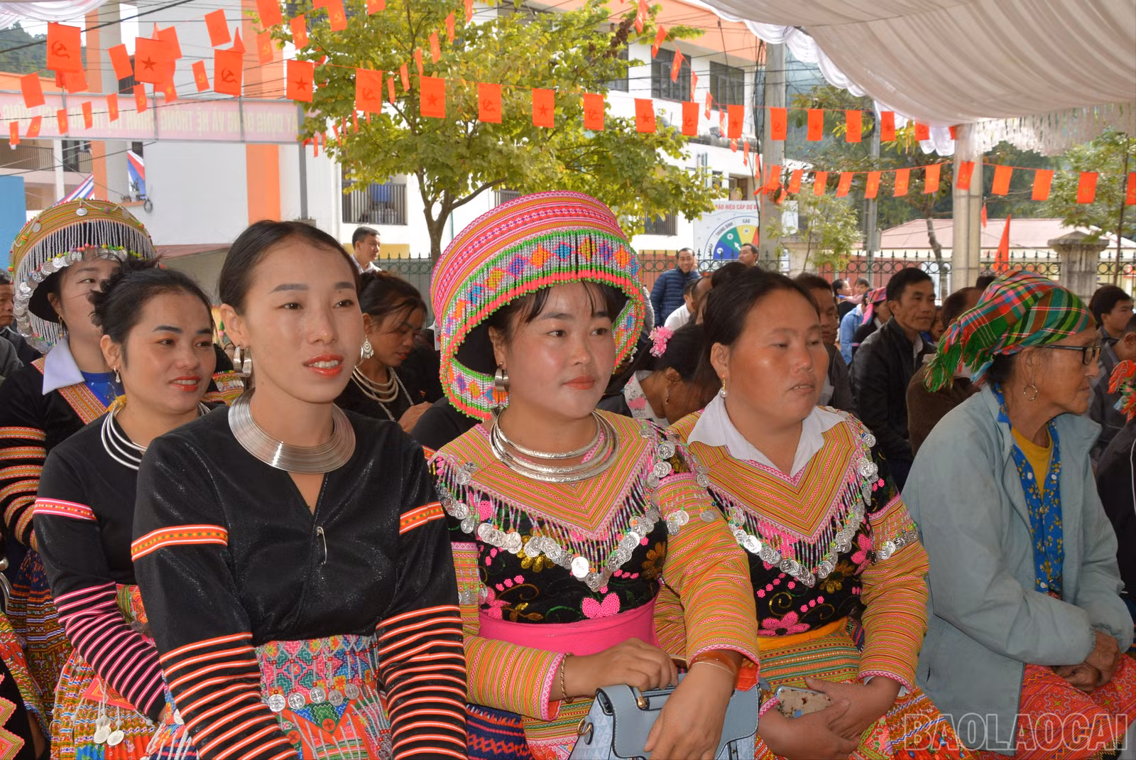 baolaocai-br_dsc-0033-598.jpg