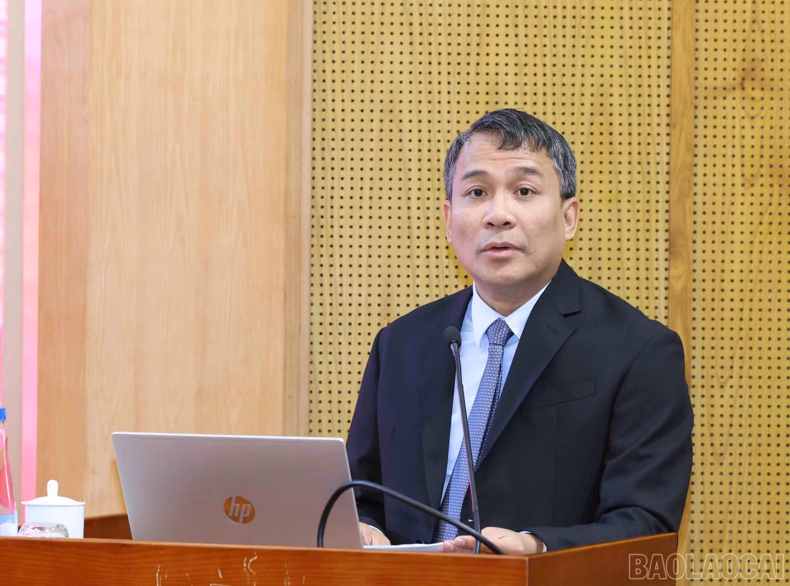 baolaocai-br_z7475870921400-bf88104bd916b412aa519c449ca88d19.jpg