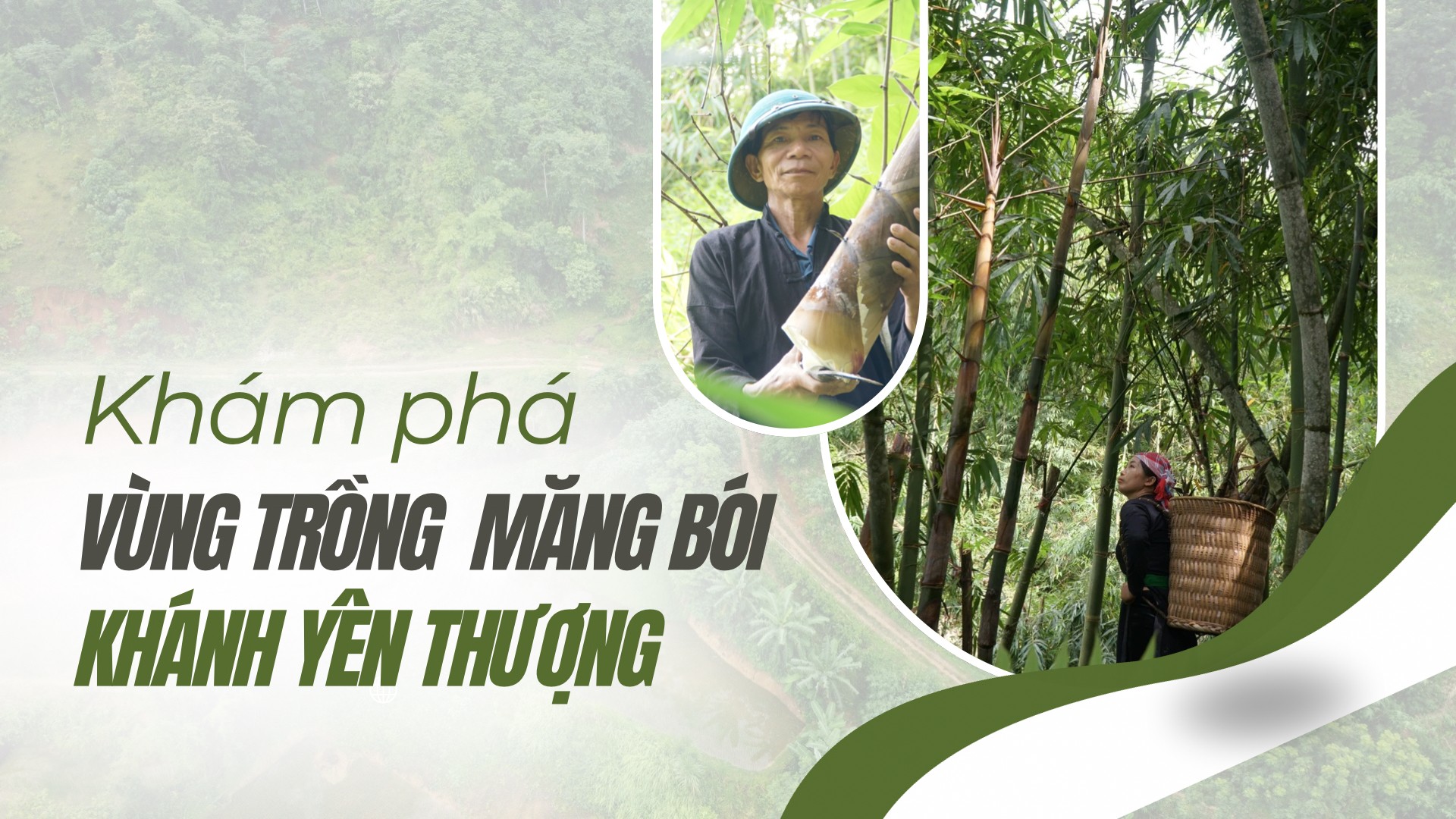 Khám phá vùng măng bói Khánh Yên Thượng