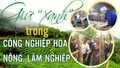 Giữ “xanh” trong công nghiệp hóa nông, lâm nghiệp