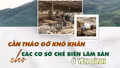 Cần tháo gỡ khó khăn cho các cơ sở chế biến lâm sản ở Yên Bình