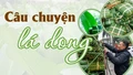 Câu chuyện lá dong
