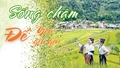 Sống chậm để yêu, để giữ gìn...