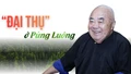 “Đại thụ” ở Púng Luông