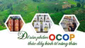 Để sản phẩm OCOP thúc đẩy kinh tế nông thôn