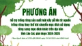 [Infographic] Phương án hỗ trợ trồng rừng khi chuyển mục đích sử dụng