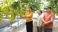  Cây trồng mới, triển vọng mới