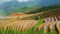Từ ruộng bậc thang đến giấc mơ du lịch xanh