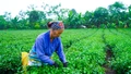 Đồng bào các dân tộc tỉnh Lào Cai thi đua xây dựng cuộc sống ấm no 