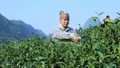 Xã Phong Hải: Truyền thông bình đẳng giới góp phần chăm sóc, bảo vệ phụ nữ, trẻ em 