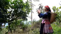 Kể chuyện quê hương trên không gian số
