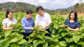 Chấn Thịnh: Nghị quyết 21 tạo đổi thay trên những thửa ruộng, triền đồi