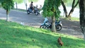 Cần sự vào cuộc của cả cộng đồng