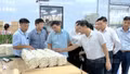 “Đòn bẩy” khát vọng phát triển của nông dân Lào Cai
