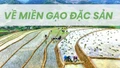 Về miền gạo đặc sản