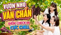 Vườn nho trĩu quả ở Văn Chấn: Điểm check-in mới cực chill hè này