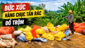 Hàng chục tấn rác đổ trộm gây ô nhiễm môi trường khiến người dân vô cùng bức xúc