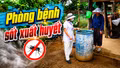 Mùa mưa chủ động phòng bệnh sốt xuất huyết