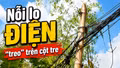 Nỗi lo điện “treo” trên cột tre ở Cảm Nhân