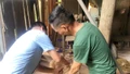 Hoàn thành tiêm phòng dại tại khu vực Lào Cai, Cam Đường, Cốc San, Hợp Thành trong tháng 8 