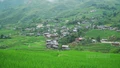 Sức hút Sa Pa mùa lúa xanh